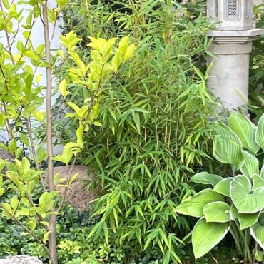 Без имени-189